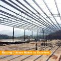 Steel Structure Design Poultry Farm Shed